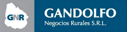 Venta de Campos | Gandolfo Negocios Rurales